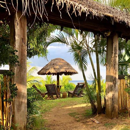 Palmlea Farms Lodge & Bures - Villas Labasa Esterno foto