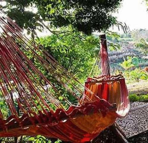 Palmlea Farms Lodge & Bures - Villas Labasa Esterno foto