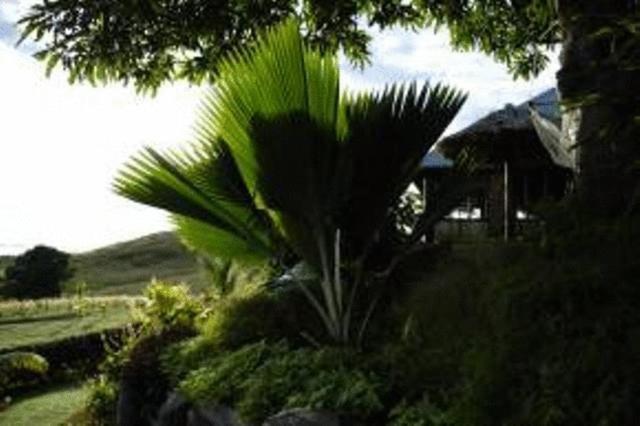 Palmlea Farms Lodge & Bures - Villas Labasa Esterno foto
