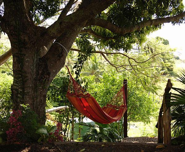 Palmlea Farms Lodge & Bures - Villas Labasa Esterno foto