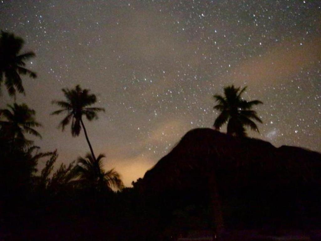 Palmlea Farms Lodge & Bures - Villas Labasa Esterno foto