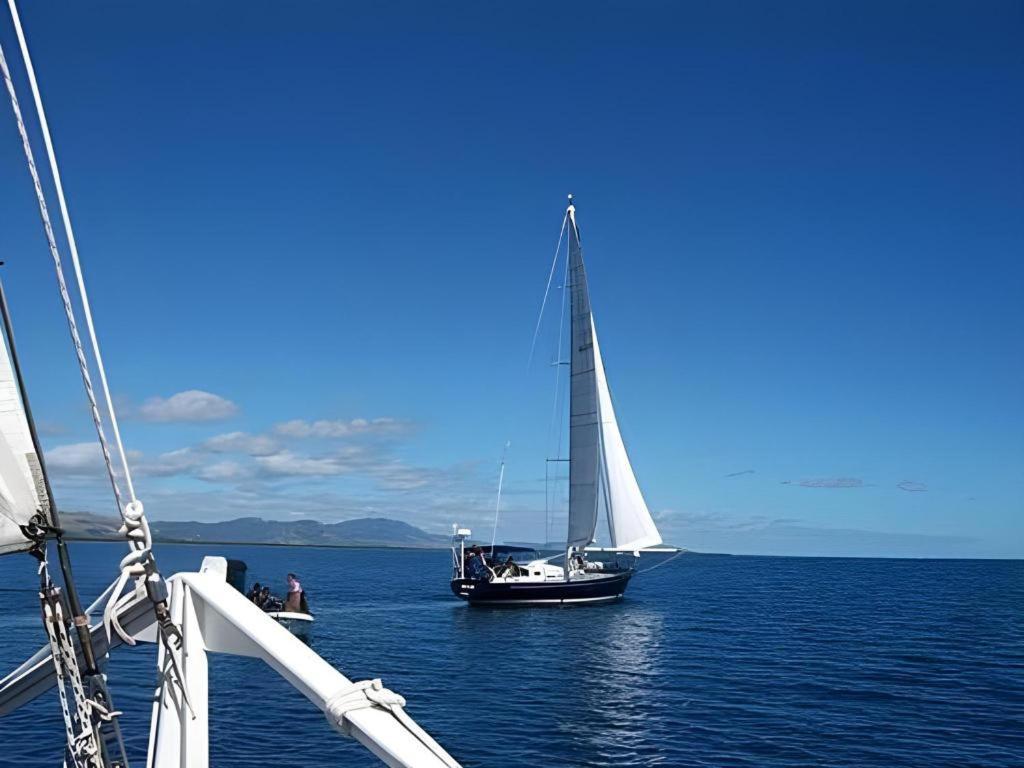 Palmlea Farms Lodge & Bures - Villas Labasa Esterno foto