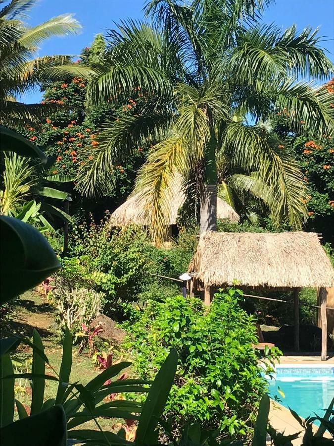 Palmlea Farms Lodge & Bures - Villas Labasa Esterno foto